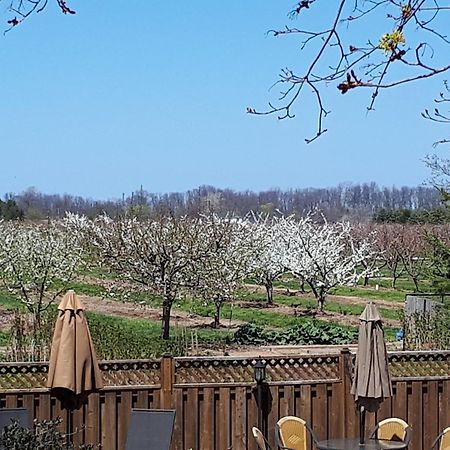 A Li'L Bit Of Eden Bed & Breakfast Niagara-on-the-Lake ภายนอก รูปภาพ
